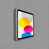 Dame Wall 2.0 for iPad