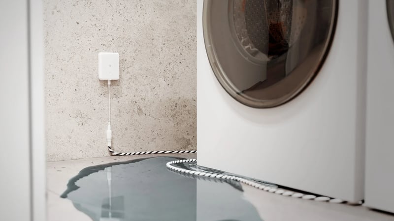A white Shelly Flood Gen4 on a laundry wall, with its leak sensor cable running along the floor beside a front-loading washing machine and through a puddle of water