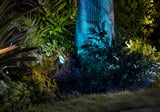 Lily XL Outdoor Spot Light