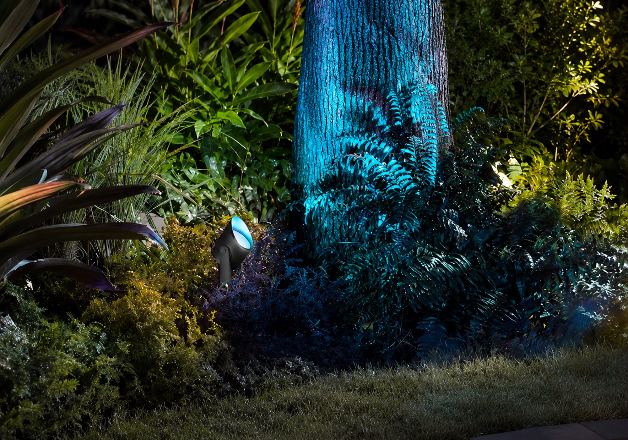 Lily XL Outdoor Spot Light
