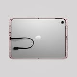 Dame Wall 2.0 for iPad