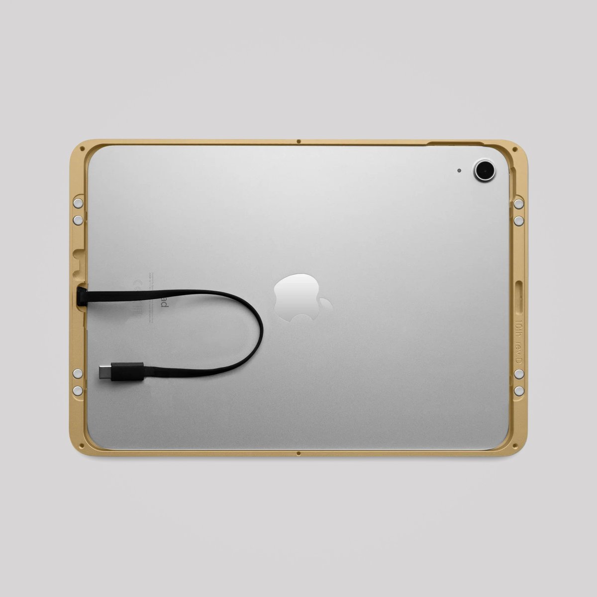 Dame Wall 2.0 for iPad Pro