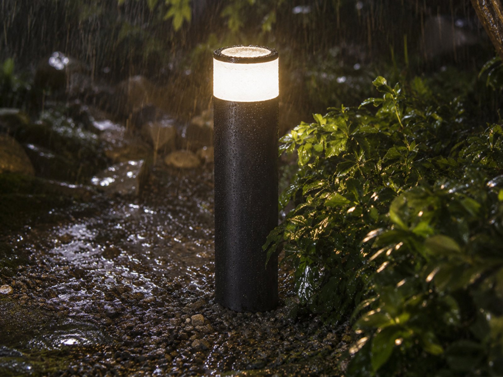 Calla Outdoor in the rain