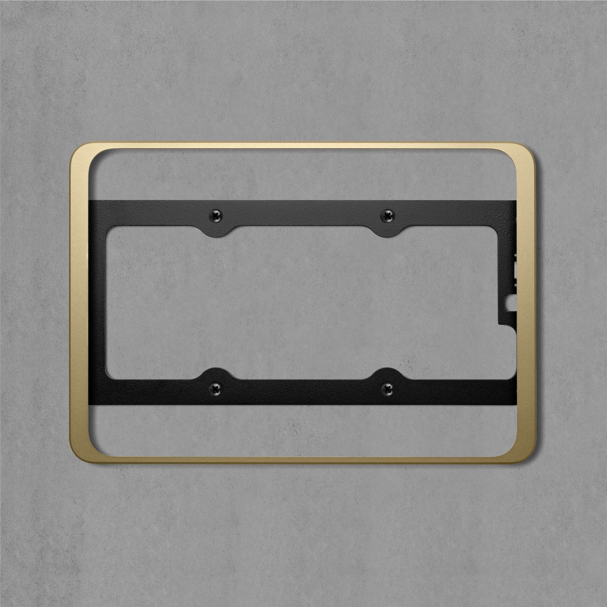 Dame Wall 2.0 for iPad