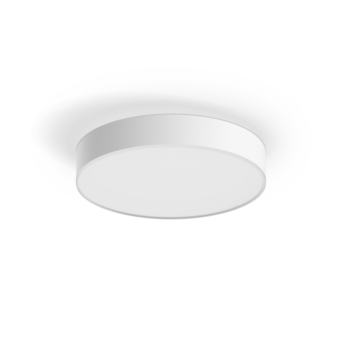 Ceiling Lights