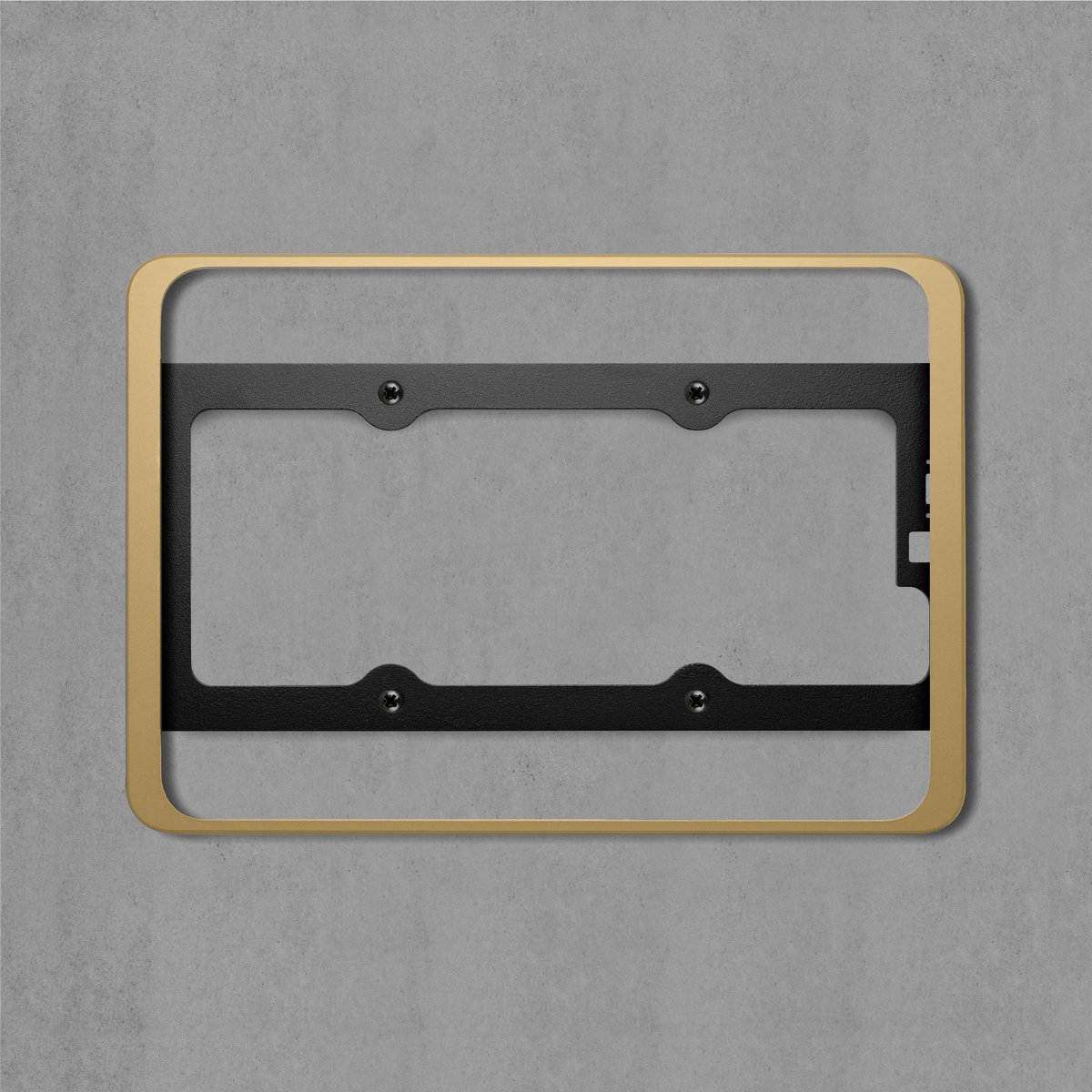 Dame Wall 2.0 for iPad Pro