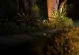 Lily XL Outdoor Spot Light