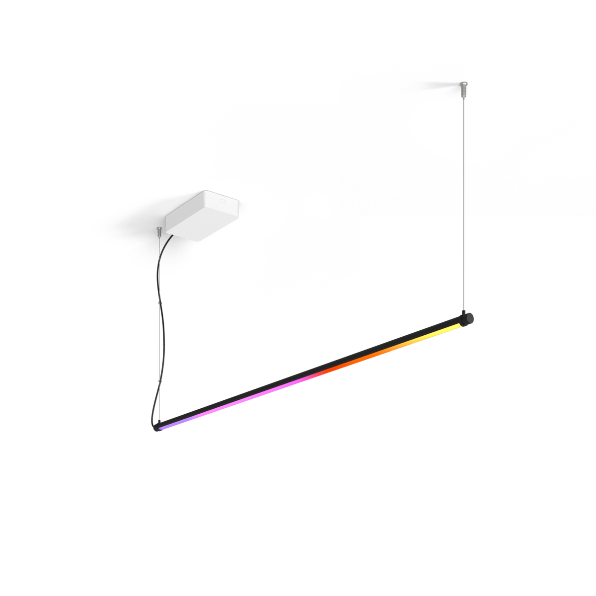 Signe pendant, pendulum and pole