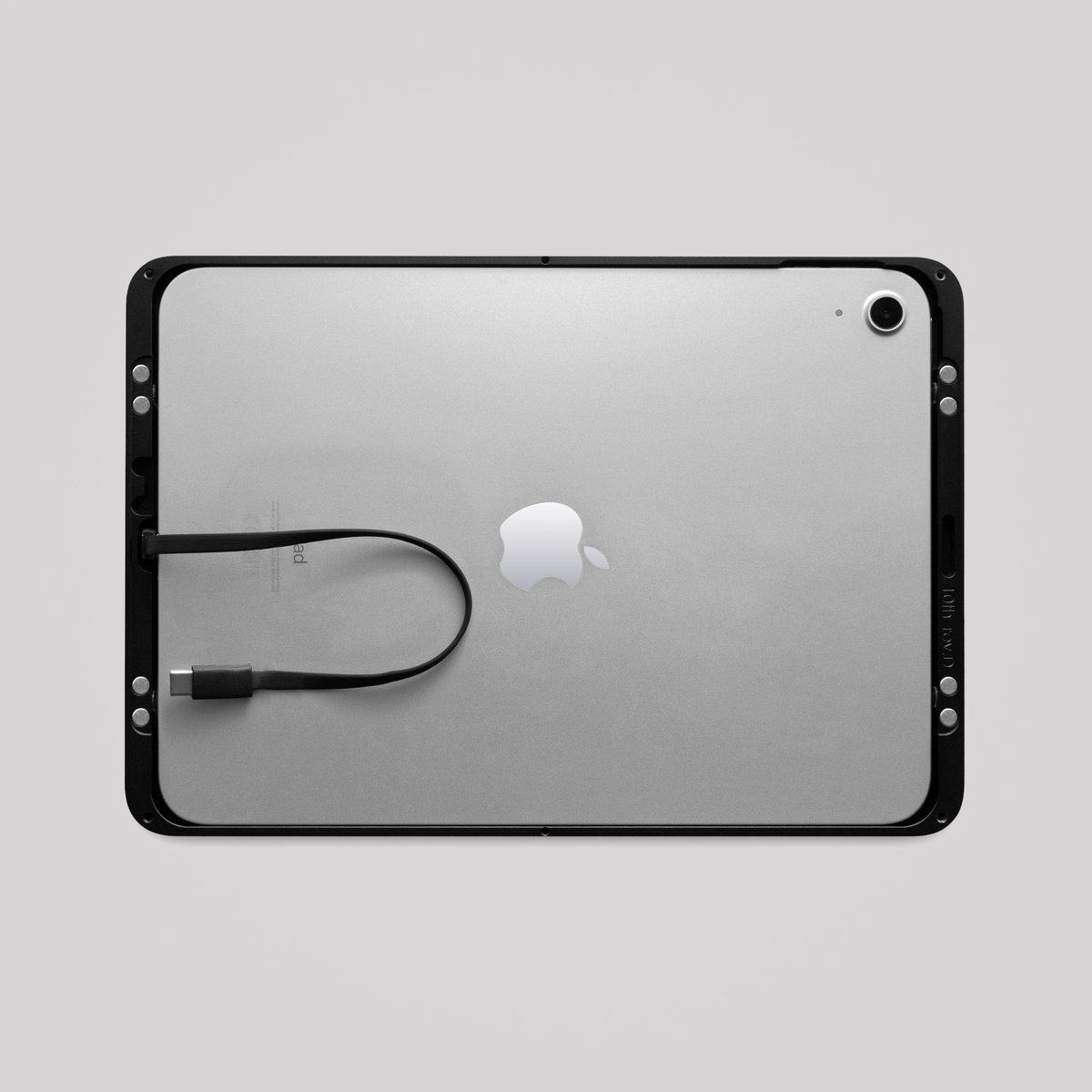 Dame Wall 2.0 for iPad Pro