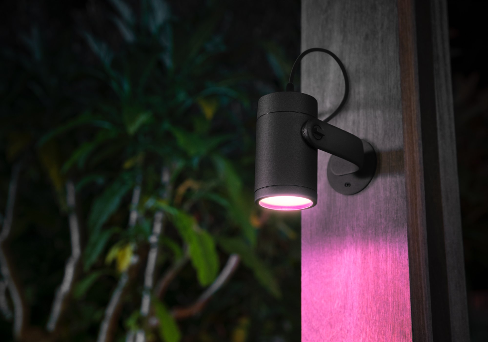 Lily Outdoor Spot Light