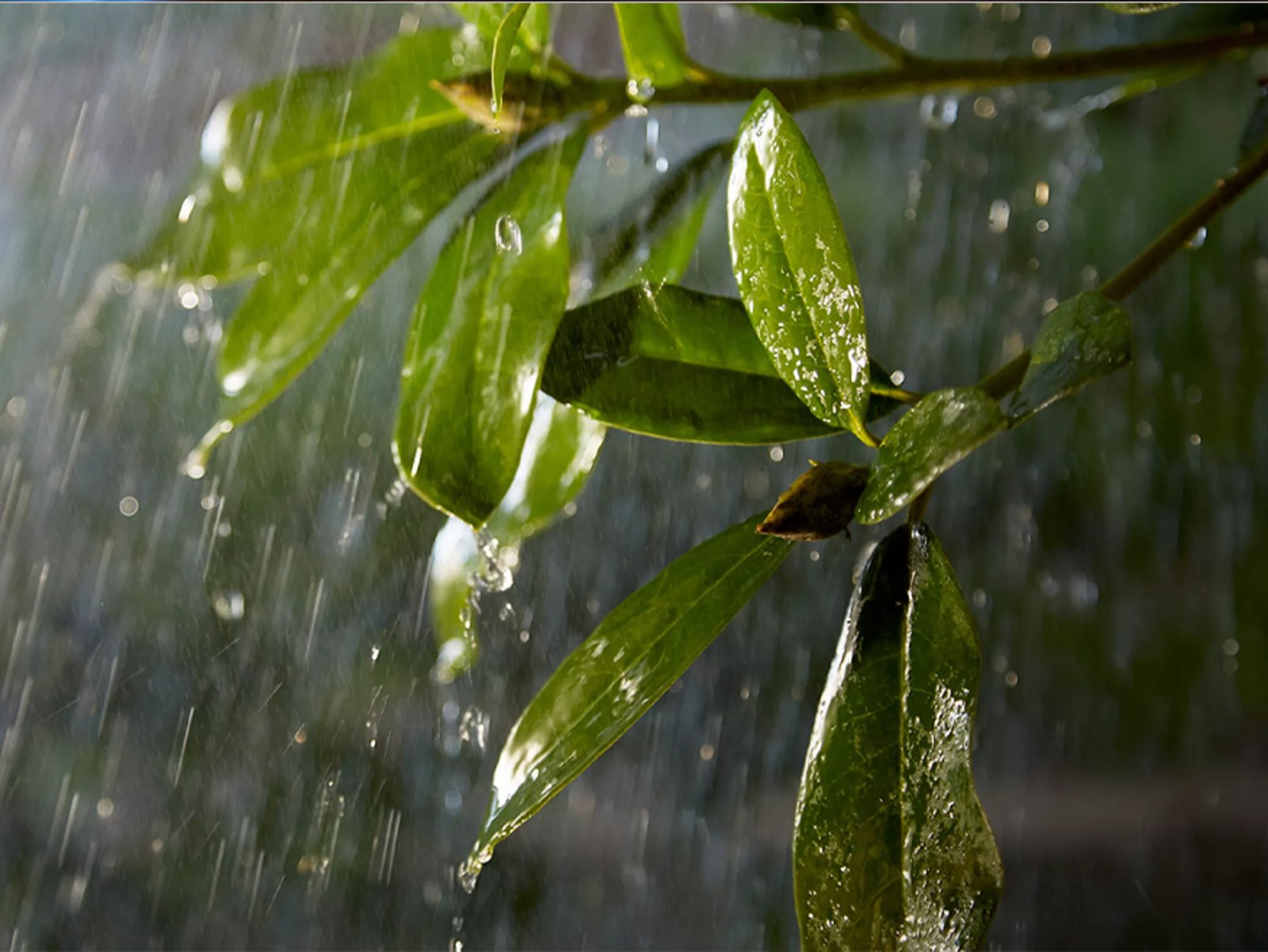 Weatherproof, not a power source