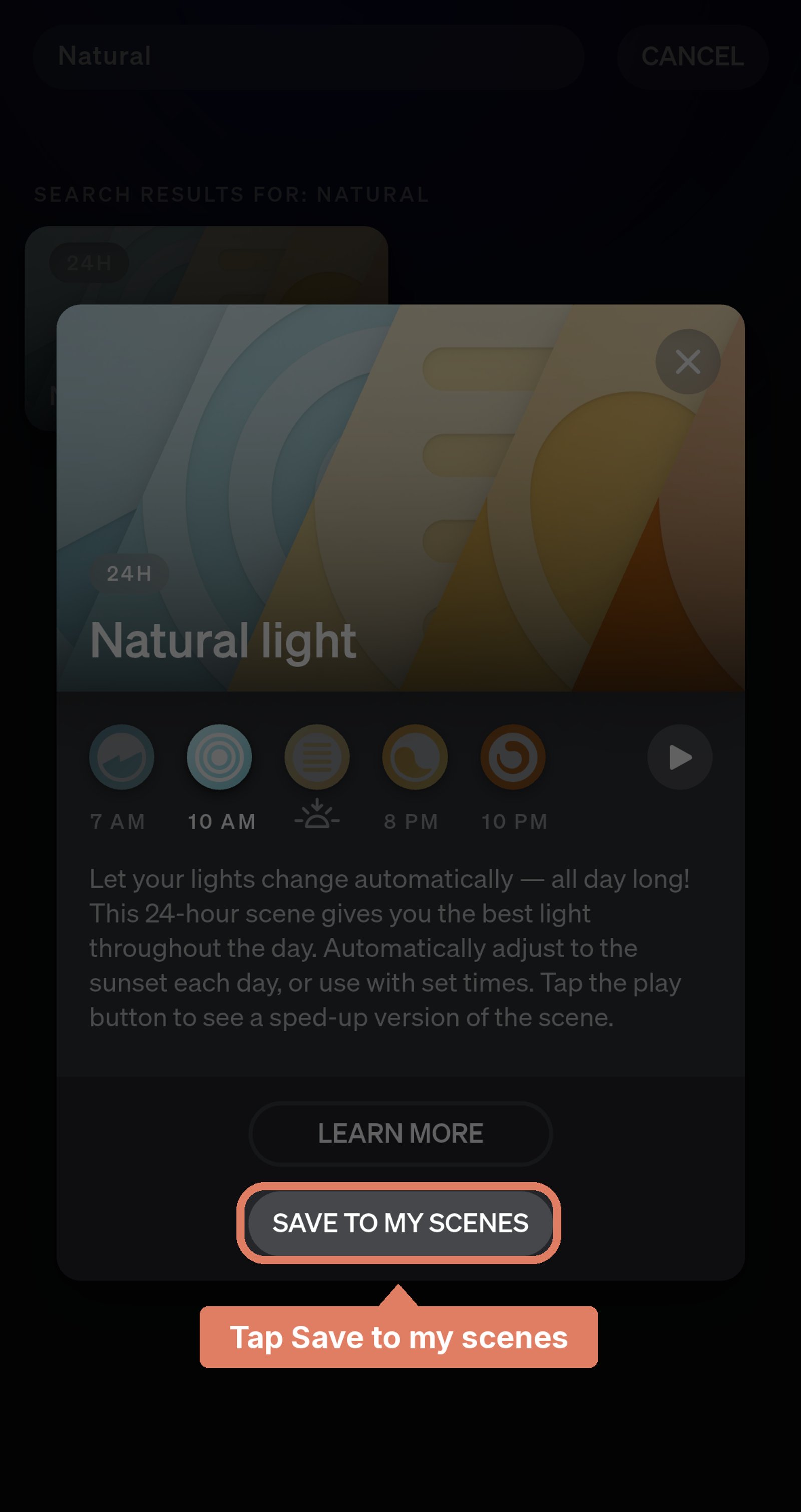Philips Hue app scene gallery card for the Natural light 24-hour scene, with Save to my scenes marked.