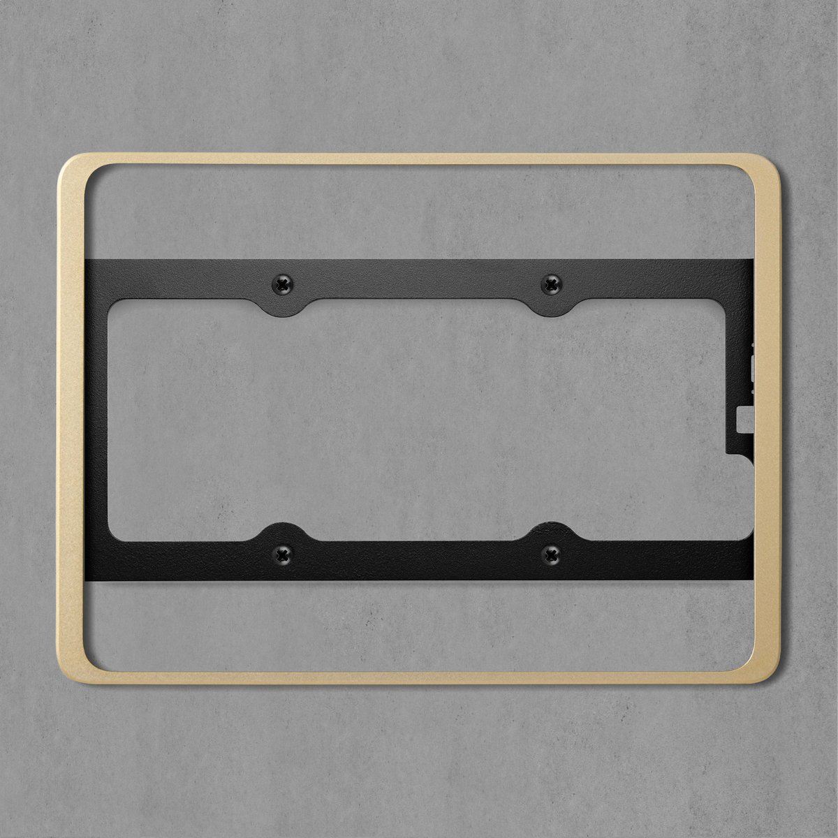 Dame Wall 2.0 for iPad Pro