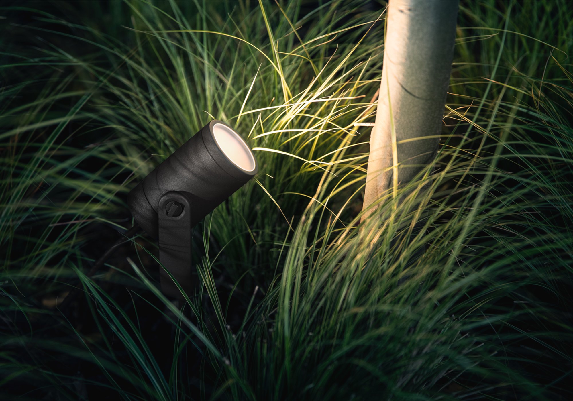 Lily Outdoor Spot Light